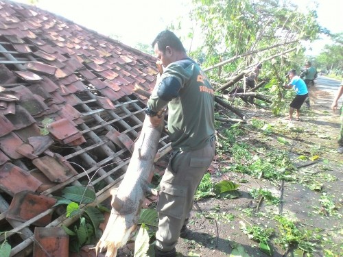 BENCANA ALAM ANGIN PUTING BELIUNG DI DESA SIRNAGALIH KECAMATAN JONGGOL KAB.BOGOR