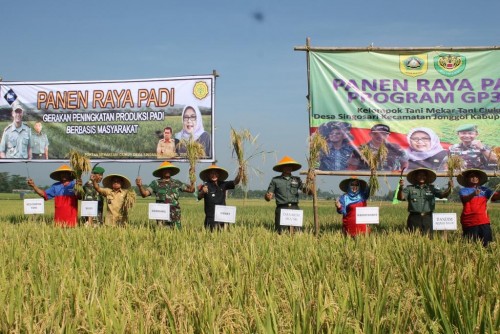 PANEN RAYA DI DESA SINGASARI